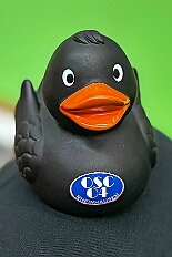 03 OSC Rheinhausen 2026-02-07 01  Samstags Tour, 7. Februar - Mittags begann unsere Tour, insgesamt 7 Auftritte, im Hewag Seniorenstift an der Karl-Jarres-Straße. Es folgte dann im Karl Martin Haus bei den Jungschützen, begleitet von unserer Minigarde, der nächste Termin. Nach sportlichen Stop dann beim OSC in Rheinhausen ging es zur Mädchensitzung von Rot-Weiß Hamborn-Marxloh. Von dort in die City, einmal zur die Galasitzung der Bürgergarde im WYNDHAM Hotel und dann die Damensitzung vom Sonnigen Süden. Zum Schluss war dann noch das Kostümfest der „Hippen“ in Großenbaum.