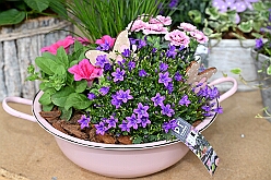 Mercuralia 2025-05-17 37  Maifest 2025 - Am Samstag dem 17. Mai besuchten wir das MERCURALIA der Römergarde in Dinslaken. Es war die XVII. Auflage und wie in jedem Jahr war die Kinderprinzencrew der Glücksbringer bei der Blumen-Frühlingsverlosung. : DVPJ, Holger II, Kinderprinz Phil II., Prinzessin, Mia I., Prinzessin Mia I., HDK, Duisburg, Karneval, Helau, Tollität, Event, Session 2024, Session 2025, Hauptausschuss, Gemeinschaft, Hauptausschuss Karneval Duisburg, Duisburg ist echt